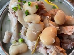 -胖娃滋补蹄花