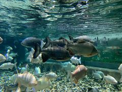 -成都浩海立方海洋公园