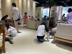 -藏猫猫咖啡主题馆(中央大道店)