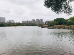 -五缘湾湿地公园