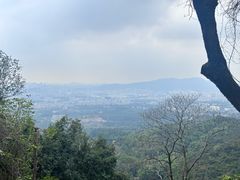 -火炉山森林公园