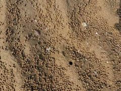 -仰口沙滩