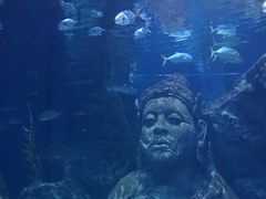 -暹罗海洋世界