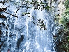 -马峦山郊野公园