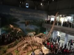 -自贡恐龙博物馆