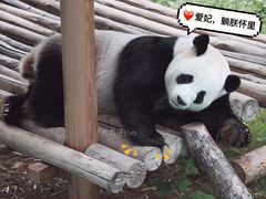 -栾川竹海野生动物园