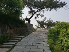 -金龙寺国家森林公园
