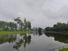 -合肥滨湖国家森林公园