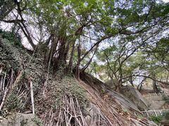 -乌山风景区