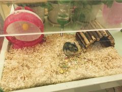 -龙猫仔乐园(惠福东路店)