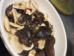 口菇木耳-金锅小厨(乐活街店)
