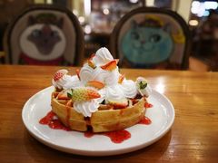 -more than meow吴止猫主题餐厅(承德 中船汇店)