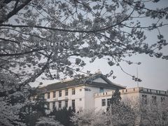 -武汉大学-樱园