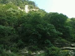 android_upload_pic-洛阳白云山景区