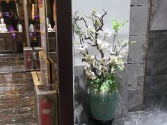 -华夏良子·足道·SPA·艾灸(苏州桥店)