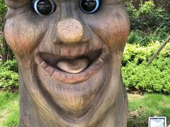 -梦幻奥陶纪景区