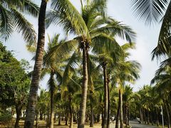 -三亚西岛海洋文化旅游区