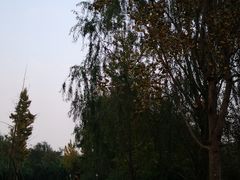 -白鹭湾湿地公园