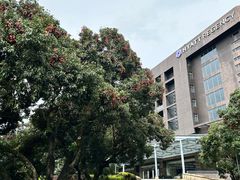 -非烤勿扰韩料自助烤肉(松山湖万科店)