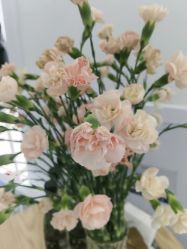 -靓芙泉·0感专研祛痘
