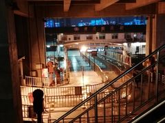 -武汉关码头(轮渡站)