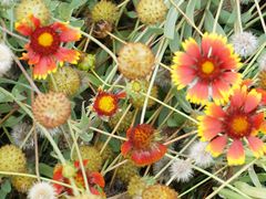 景点-西昌邛海湿地