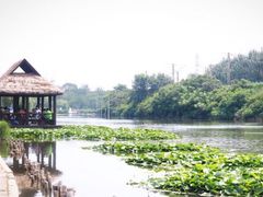 -前关湿地公园
