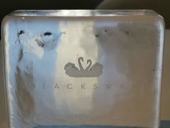 -BLACKSWAN黑天鹅(环球店)