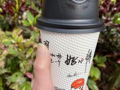 -西双版纳原始森林公园