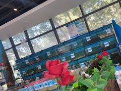 -锦里海景海鲜餐厅.三亚老字号(亚龙湾中心广场店)