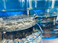 水产区-蓝珊甄选海鲜自助·火锅大排档(近阿那亚店)