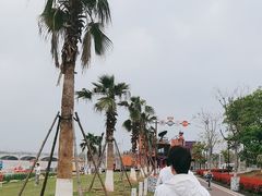 -九龙湖公园