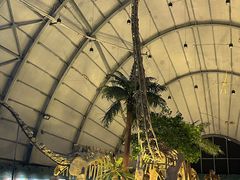 -辽宁古生物博物馆