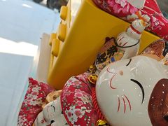 -四月宠物医院·猫专科·心脏专科·内科(转塘店)