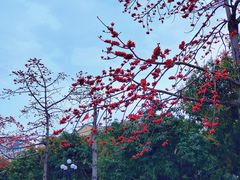 -花都广场