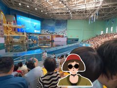 -西安曲江海洋极地公园