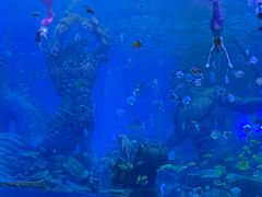 -波塞冬海底世界