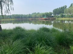 -东郊湿地公园