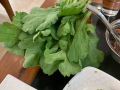 茼蒿-情忆草原涮肉馆