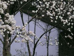 -虎丘山风景名胜区