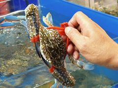 -明本湛江鸡•海鲜小厨(陈家祠店)