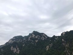 -王顺山国家森林公园
