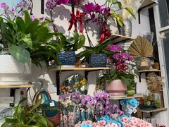 -FEI FEI FLOWER鲜花店·气球派对·宝宝宴布置(虹口德必运动Loft店)