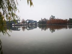 -白鹭湾湿地公园