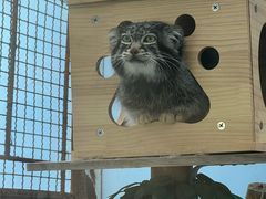 -青藏高原野生动物园