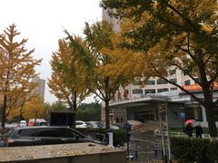 -中国人民解放军空军特色医学中心(空军总医院)