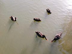 -长白岛森林公园