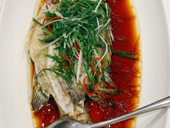 -老吉士酒家(天平路店)