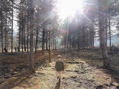 -硗碛藏寨·神木垒景区