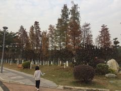 -东莞植物园